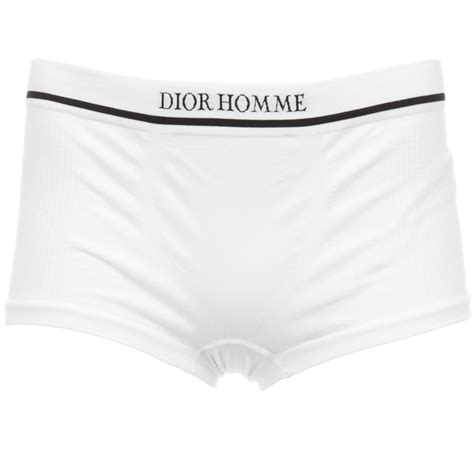 dior j adior underwear|Dior underwear men.